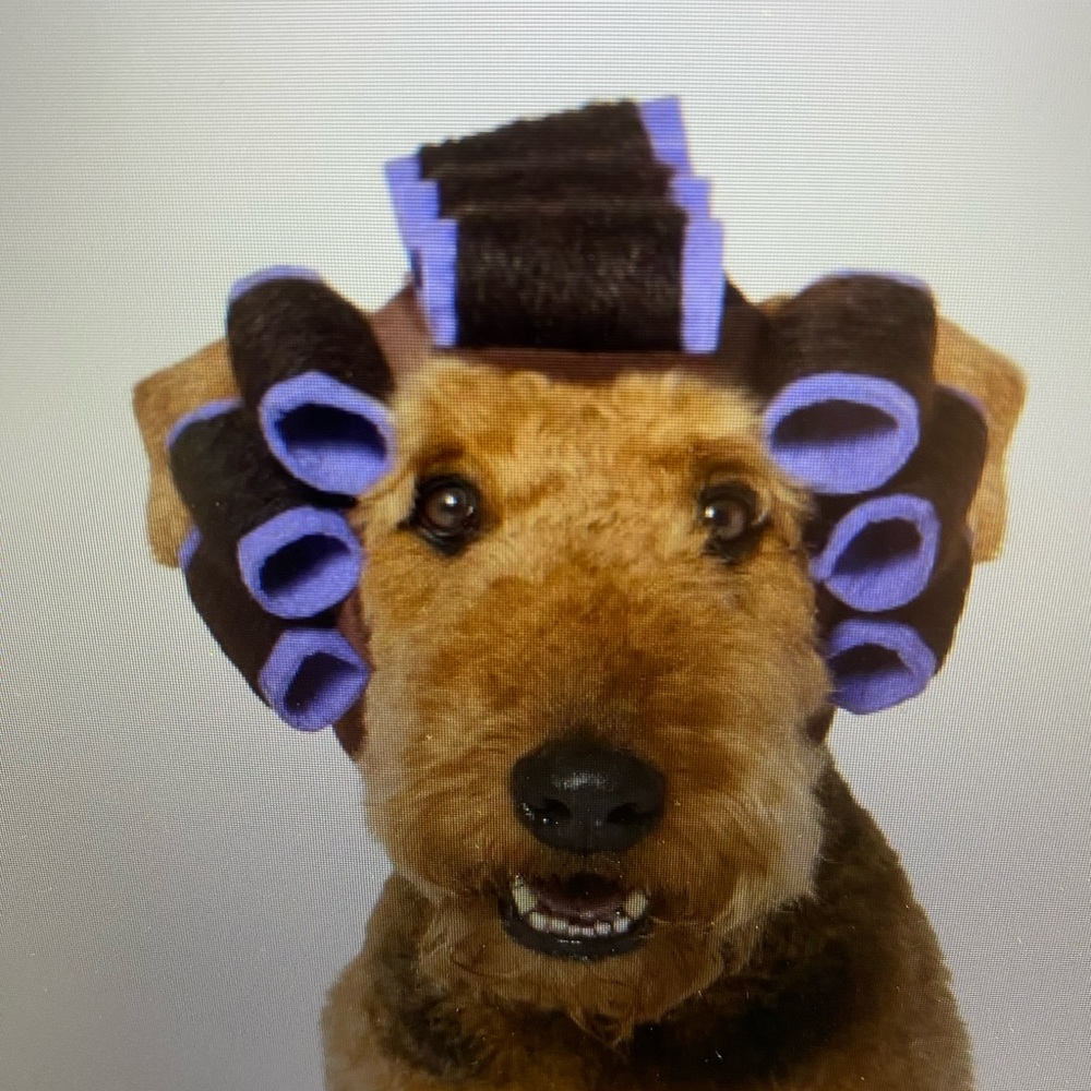 Dog Grooming Curlers - Brown and Purple